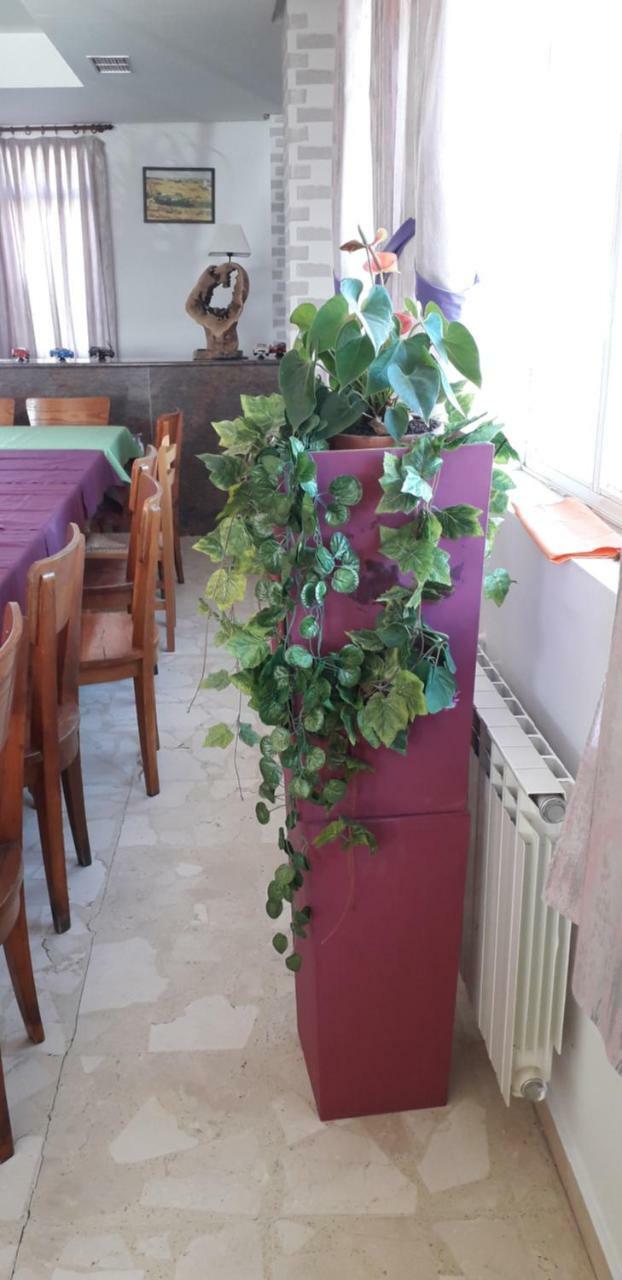 Matallana de Valmadrigal Hostal El Tropezon מראה חיצוני תמונה